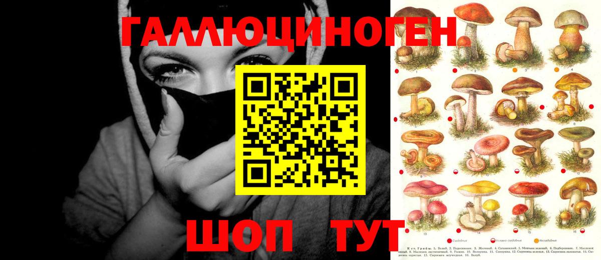 Псилоцибиновые грибы мухоморы Электросталь